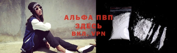 гашик Абаза