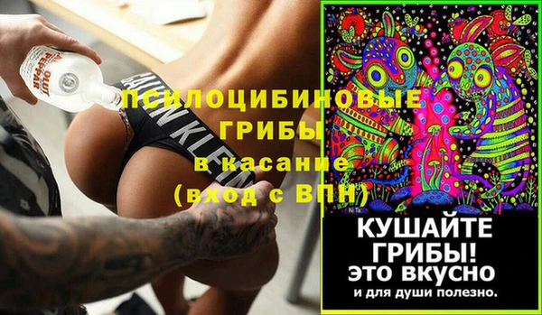 гашик Абаза