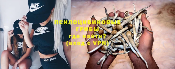 СК Абдулино